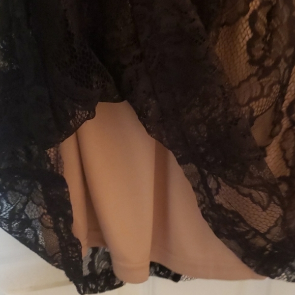 NWOT Cream and black dress - Picture 6 of 6